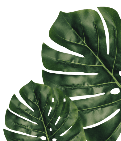 Planta tropical decorativa banner